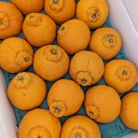 PXL_20230404_051154174