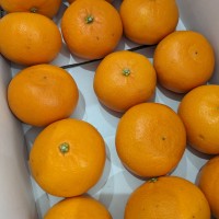 PXL_20230404_051759657